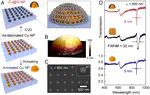 Interfacial Engineering of Plasmonic Nanoparticle Metasurfaces