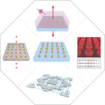 Manipulating Light–Matter Interactions in Plasmonic Nanoparticle Lattices