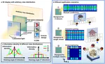 Neural-Network-Enabled Large Scale Adaptive Glasses-Free Foveated 3D Displays