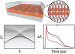 Polariton Dynamics in Two-dimensional Ruddlesden–Popper Perovskites Strongly Coupled with Plasmonic Lattices