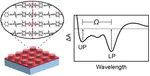 Polariton Formation from Soret Band Excitons in Metal–Organic Frameworks and Plasmonic Lattices