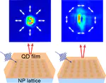 Quantum Dot-Plasmon Lasing with Controlled Polarization Patterns